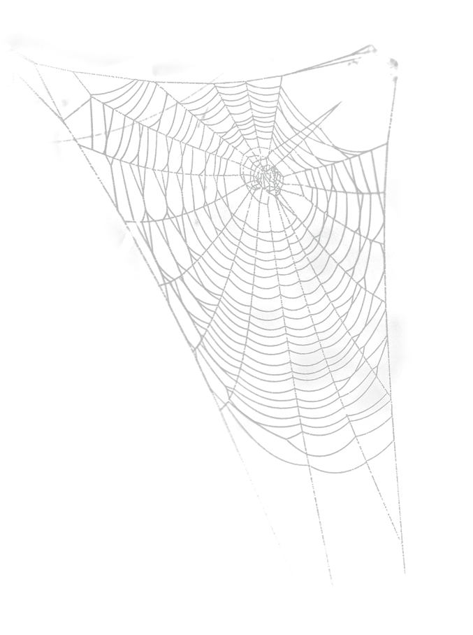 Halloween cobwebs halloween spider web cartoon hand drawing Halloween Themed Decoration Transpa