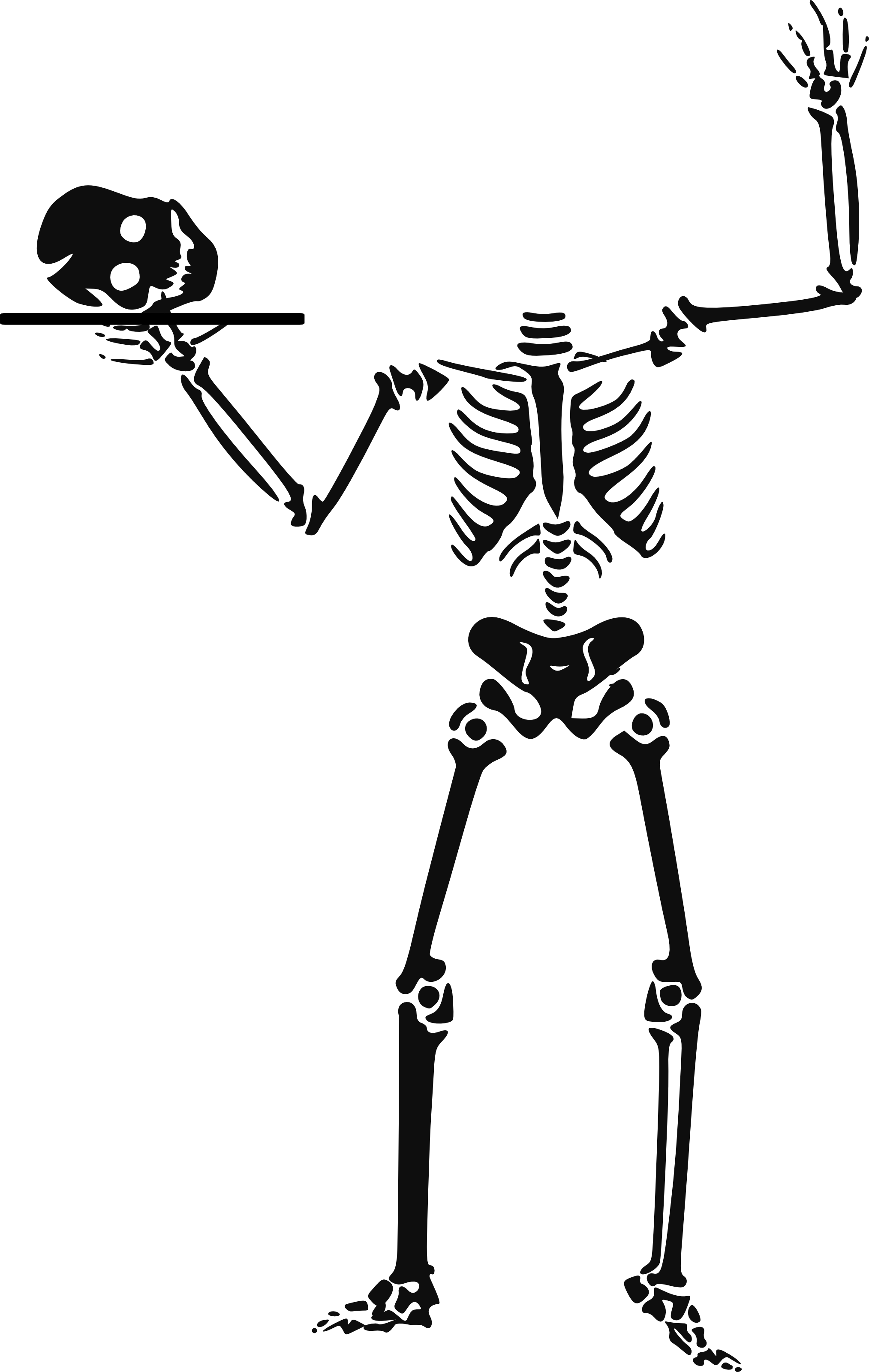 Halloween Human skeleton Halloween Skeleton monochrome black art Spooky Night Halloween Art Tra