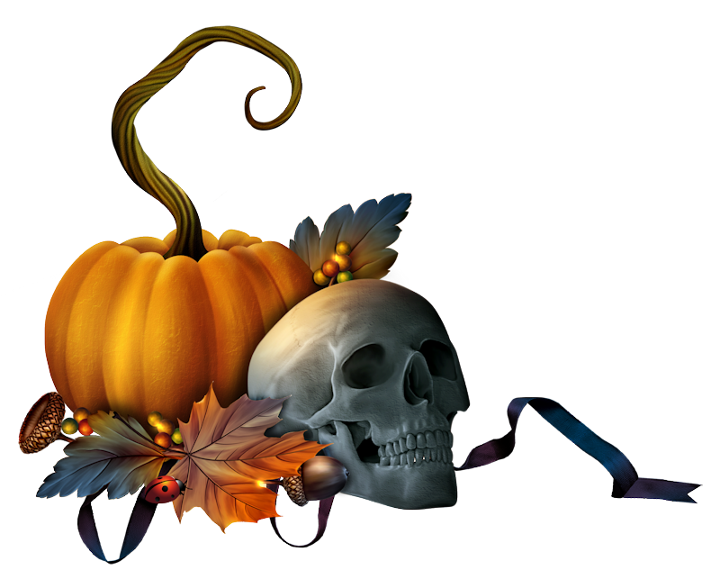 Halloween Pumpkin Art Halloween Decorative Borders Jackolantern Festival Gourd Cucurbita Calaba