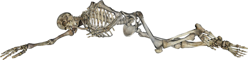 halloween skeleton lying halloween lying skull Halloween Horror Graphic Transparent PNG for Hal