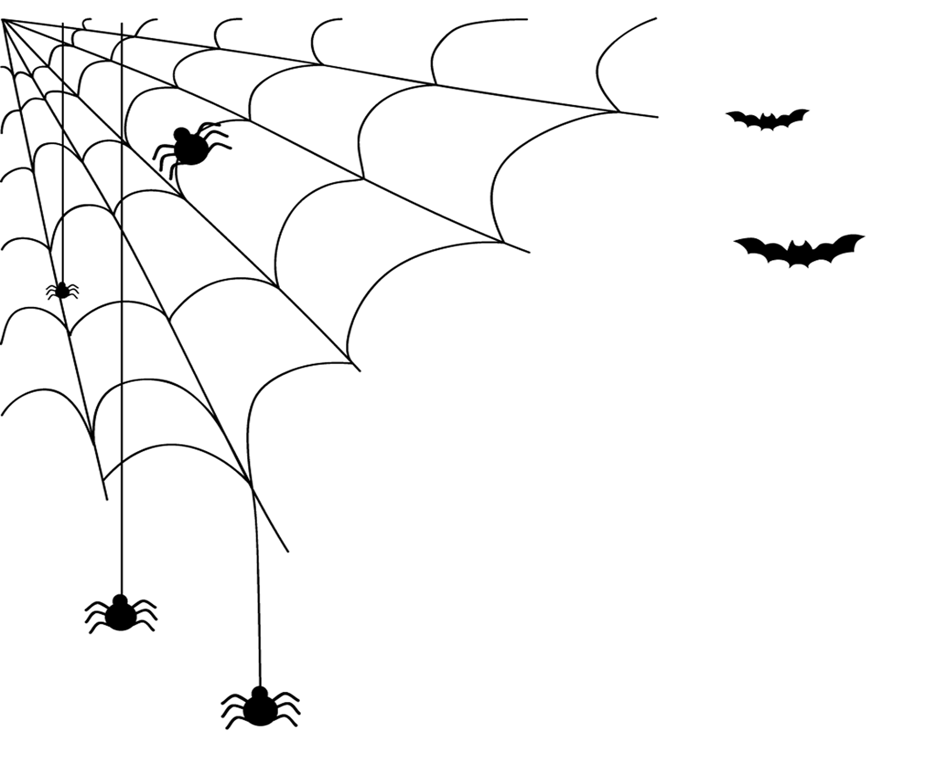 Halloween spider halloween spider web cartoon hand drawing Creepy Halloween Graphic Transparent