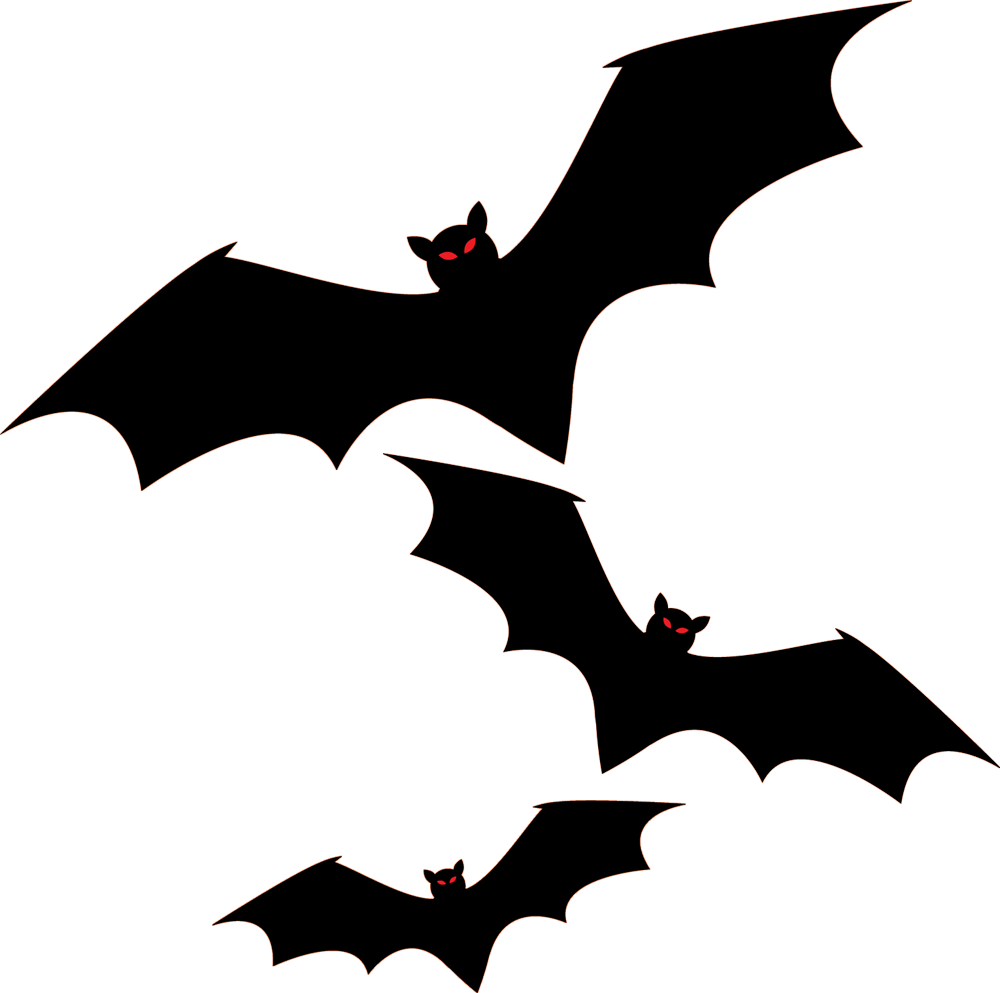 Halloween Halloween mammal holidays halloween Costume Halloween Horror Graphic Transparent PNG