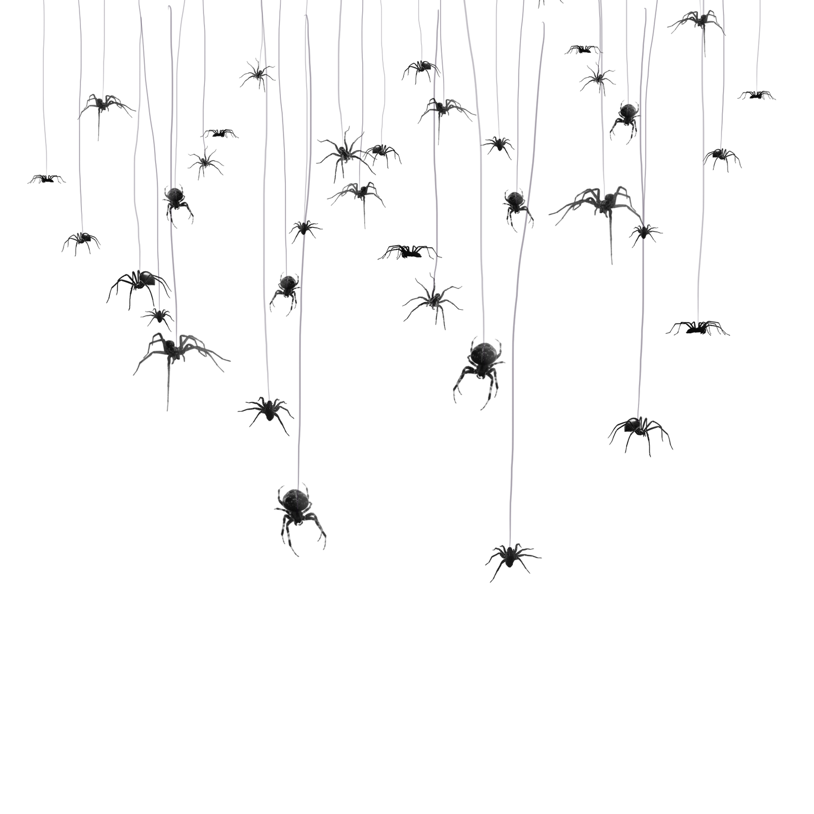 Paper graphy Halloween spiderweb angle white text Haunted Halloween Decoration Transparent PNG