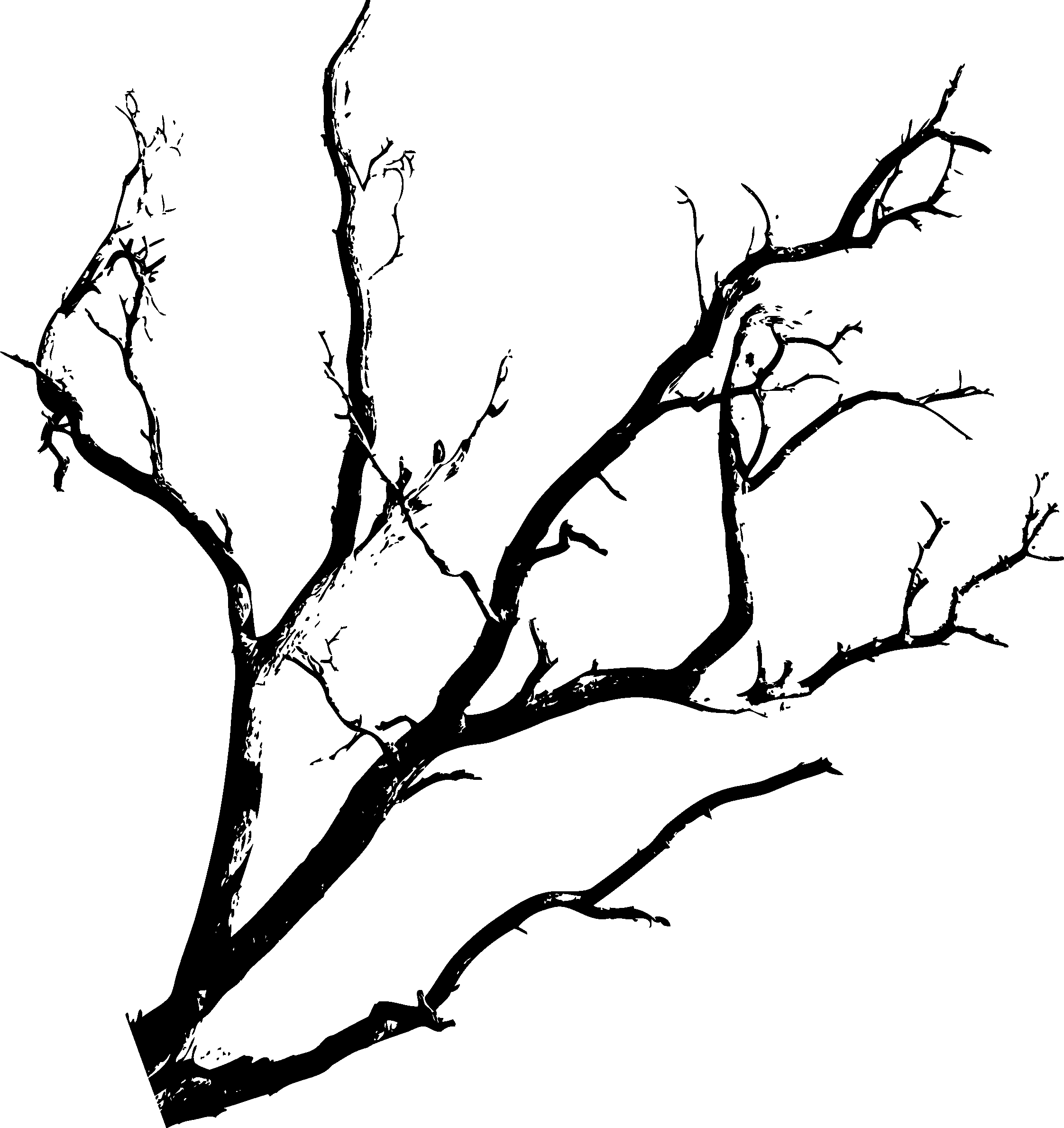 silhouette of leafless tree Red–black tree Halloween Black Halloween Tree leaf tree Branch fest