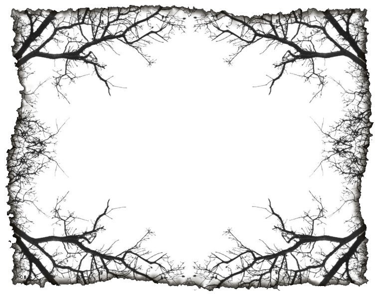 silhouette of tree template Halloween Jack Skellington Jack-o'-lantern Border terror frame leaf