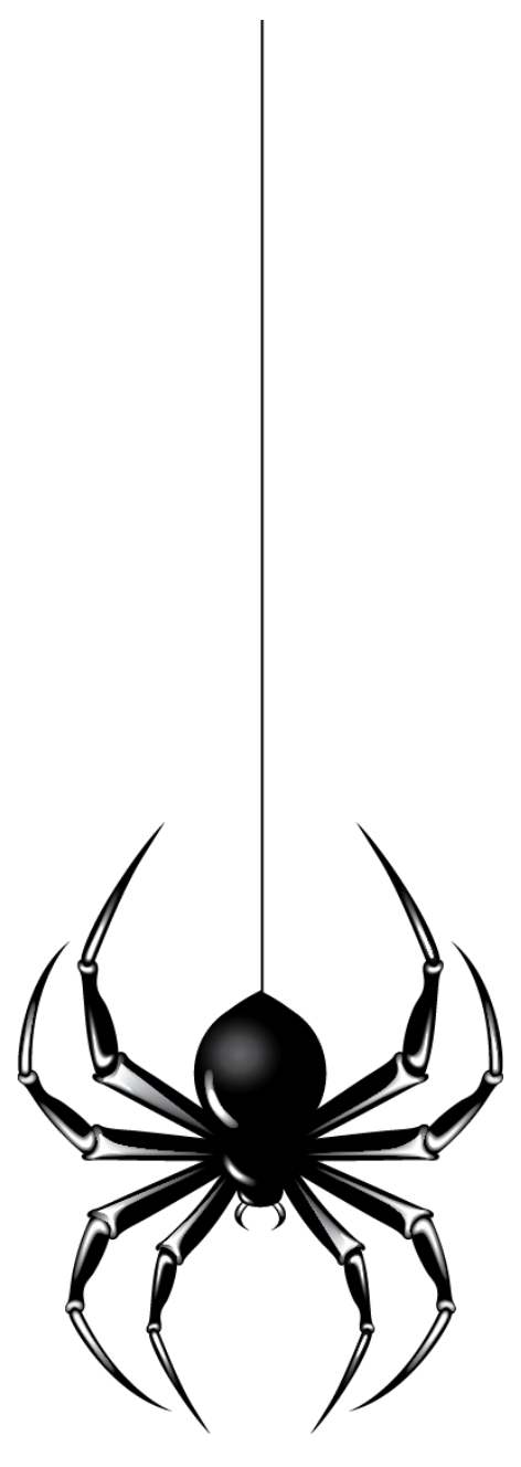 Spider Halloween Halloween Spider s light Fixture spider Web black And White Halloween Horror