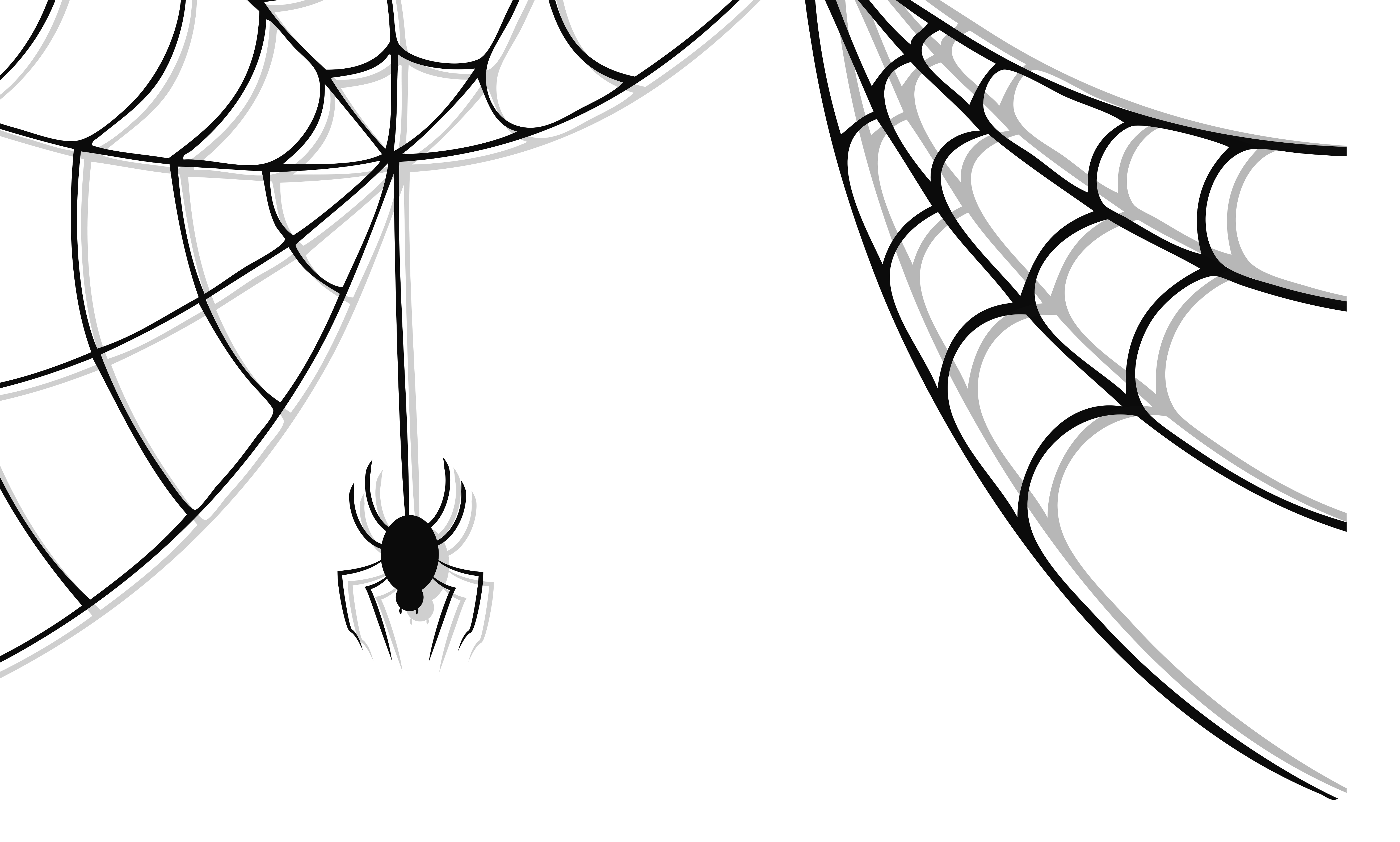 Spider web Halloween Haunted Spider and Web white spider on web decor angle happy Halloween lea