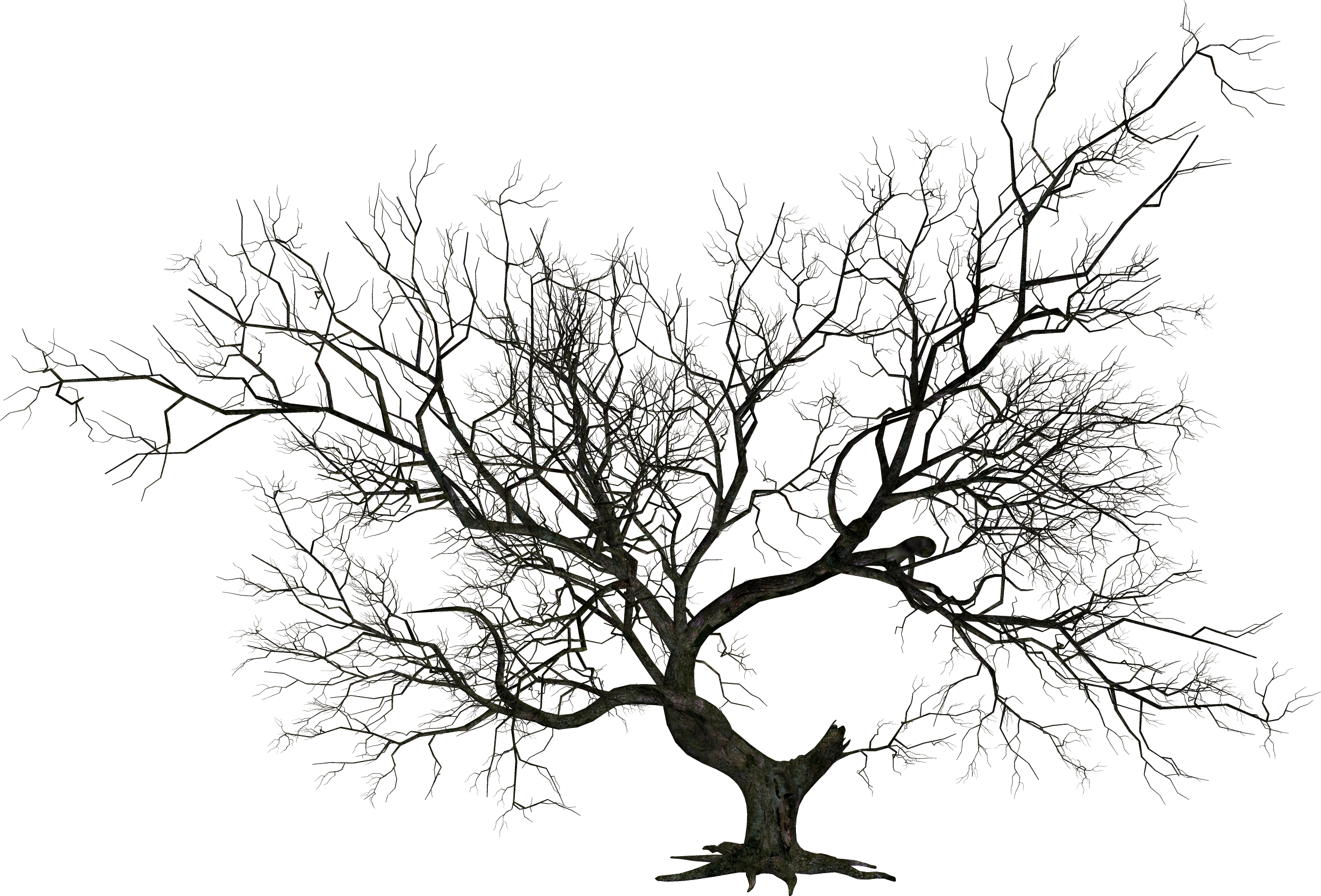 The Halloween Tree Halloween Trees s winter leaf branch Haunted Halloween Decoration Transparen