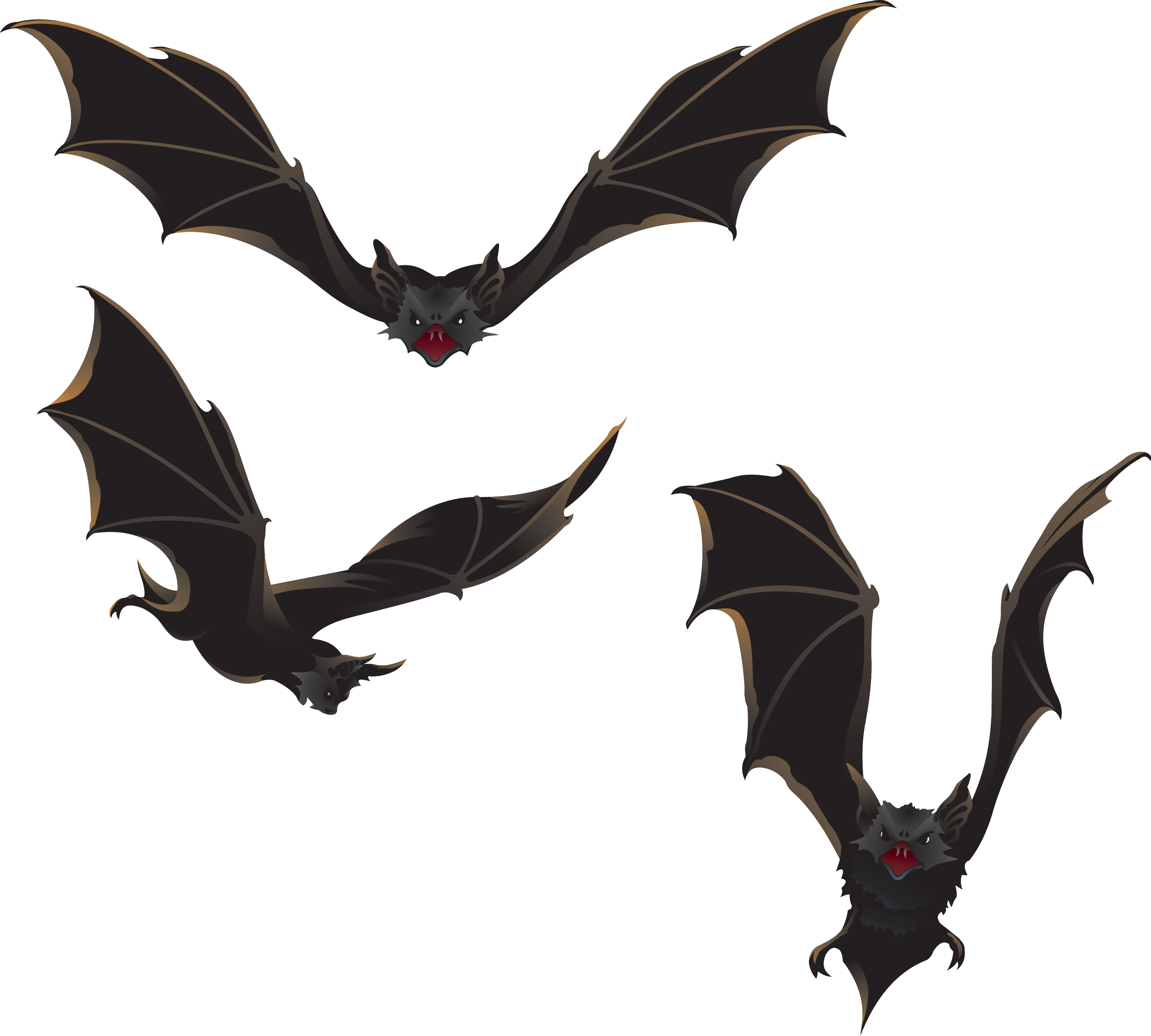 Three black-and-brown bats illustration Bat Halloween Bat Halloween horror happy Halloween mamm