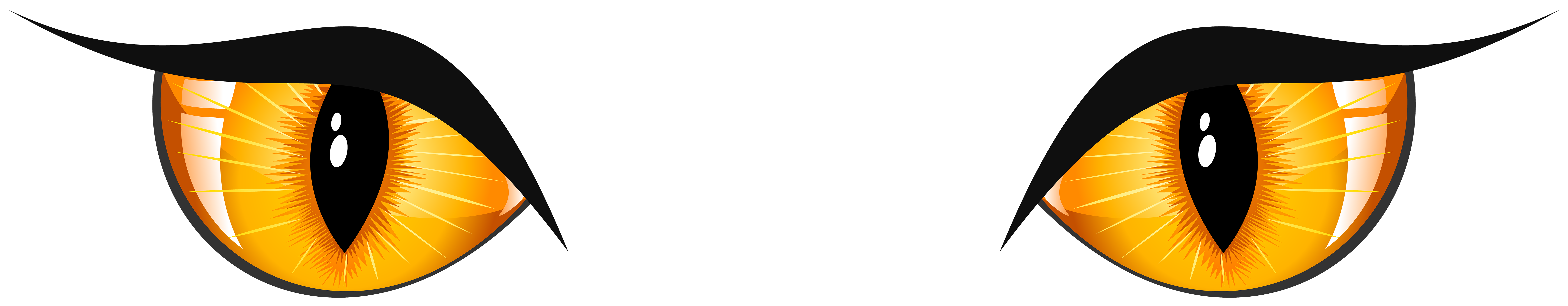 yellow and black eyes Cat's eye Halloween Halloween Cat Eyes happy Halloween light eye Creepy