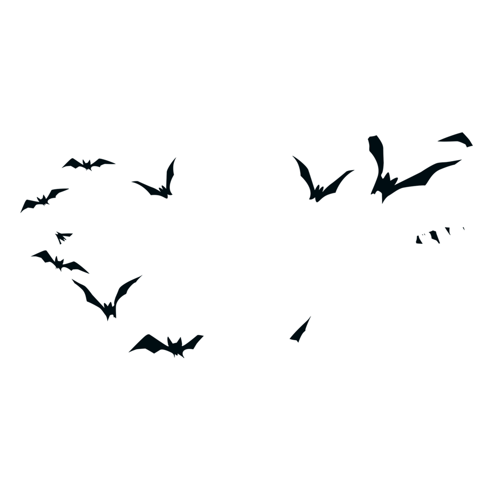 flying bats illustration Bird Halloween Silhouette Cry Halloween witch silhouette birds floatin
