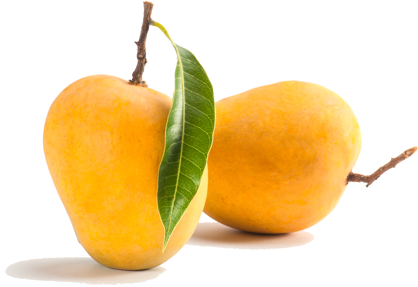 Kesar Mango