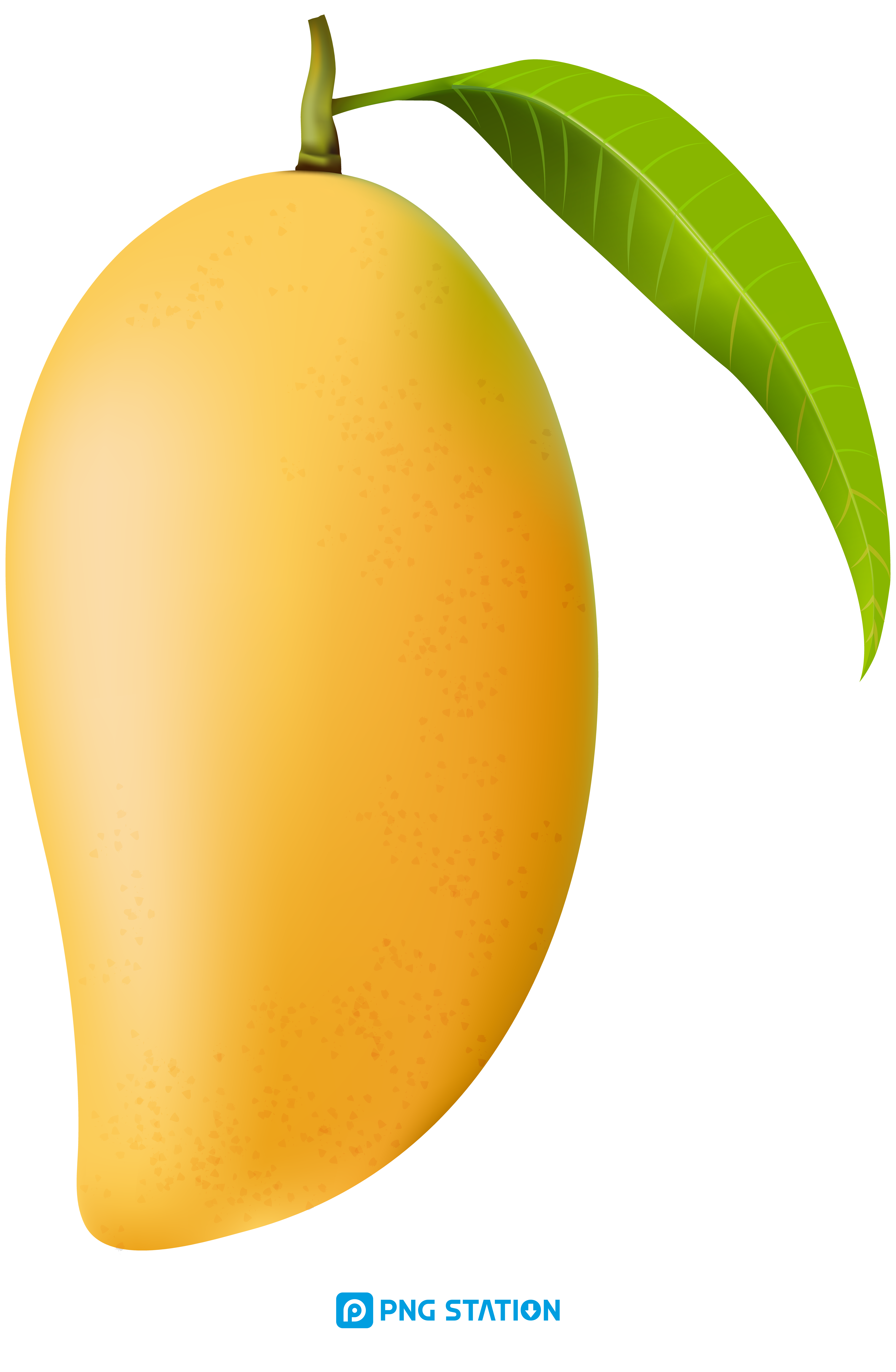 Mango Juice Mango Food Citrus Orange