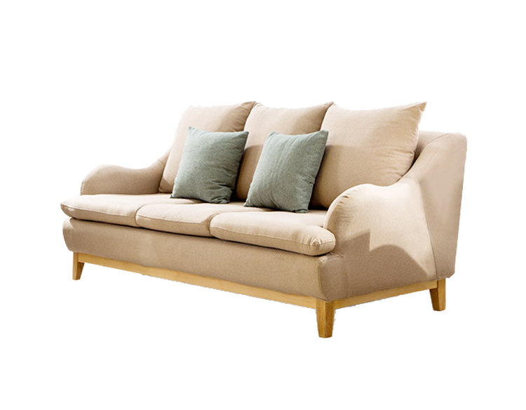 Couch Furniture Living room Minimalism Nordic wind three sofa material angle simple sofa Transparent