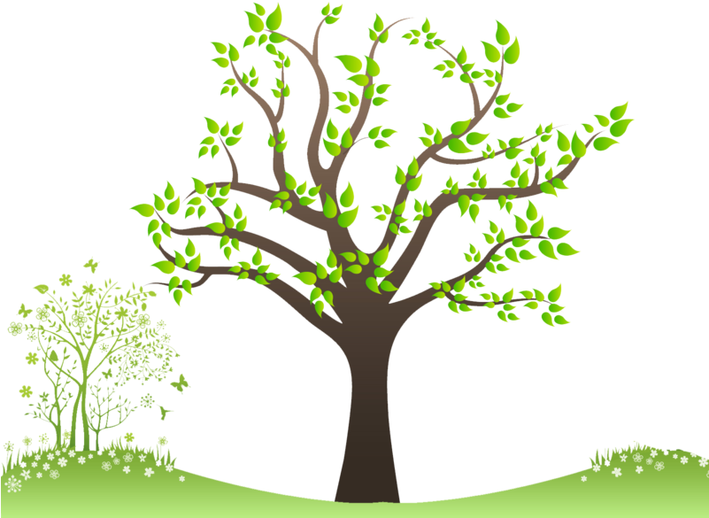 Family Tree Png Transparent PNG | Pngstation