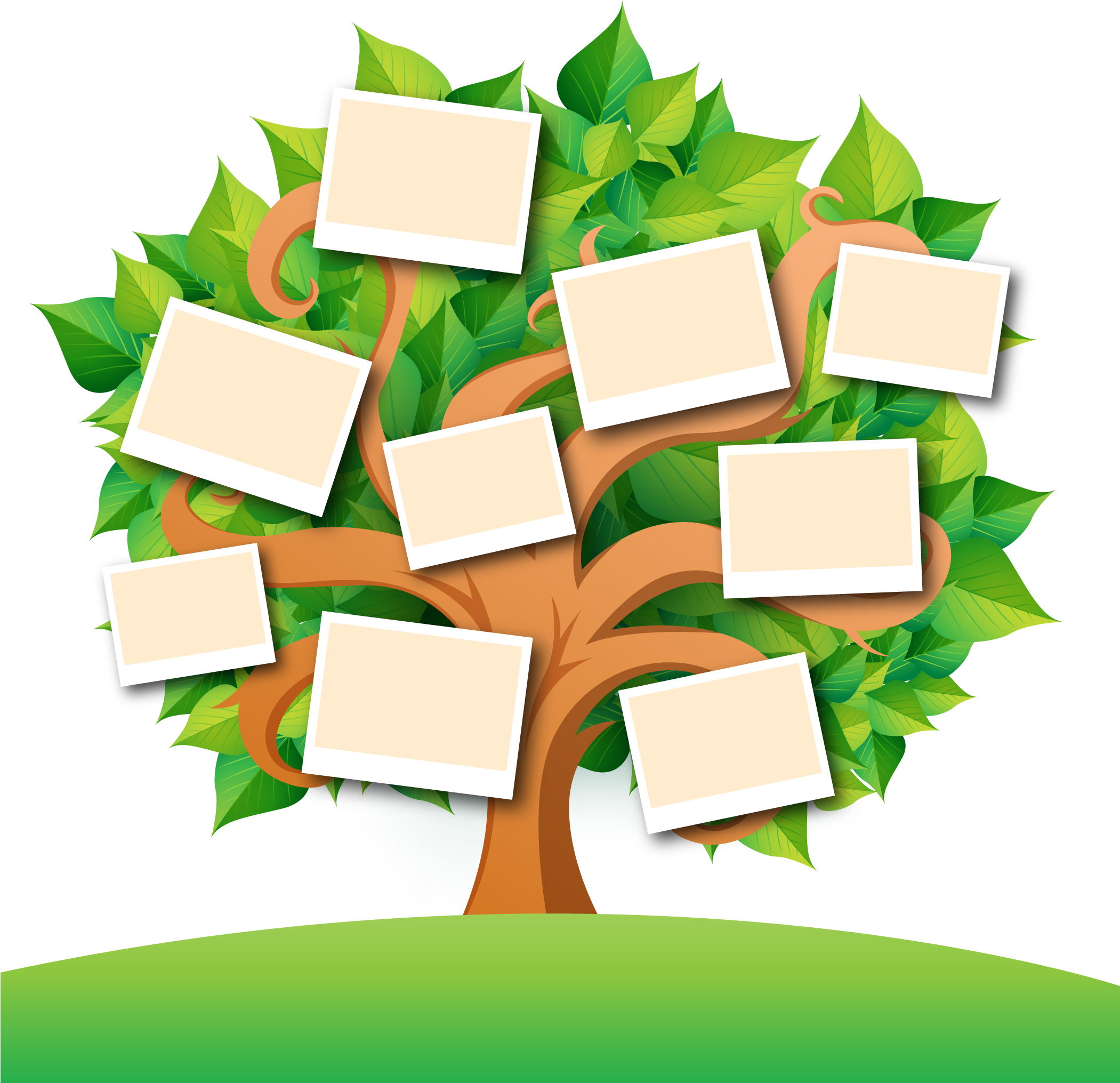 Family Tree Transparent Images Png Transparent PNG | Pngstation