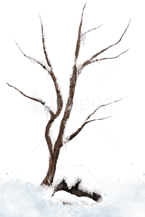 Free Png Download Brown Winter Snowy Treepicture Png Transparent PNG | Pngstation