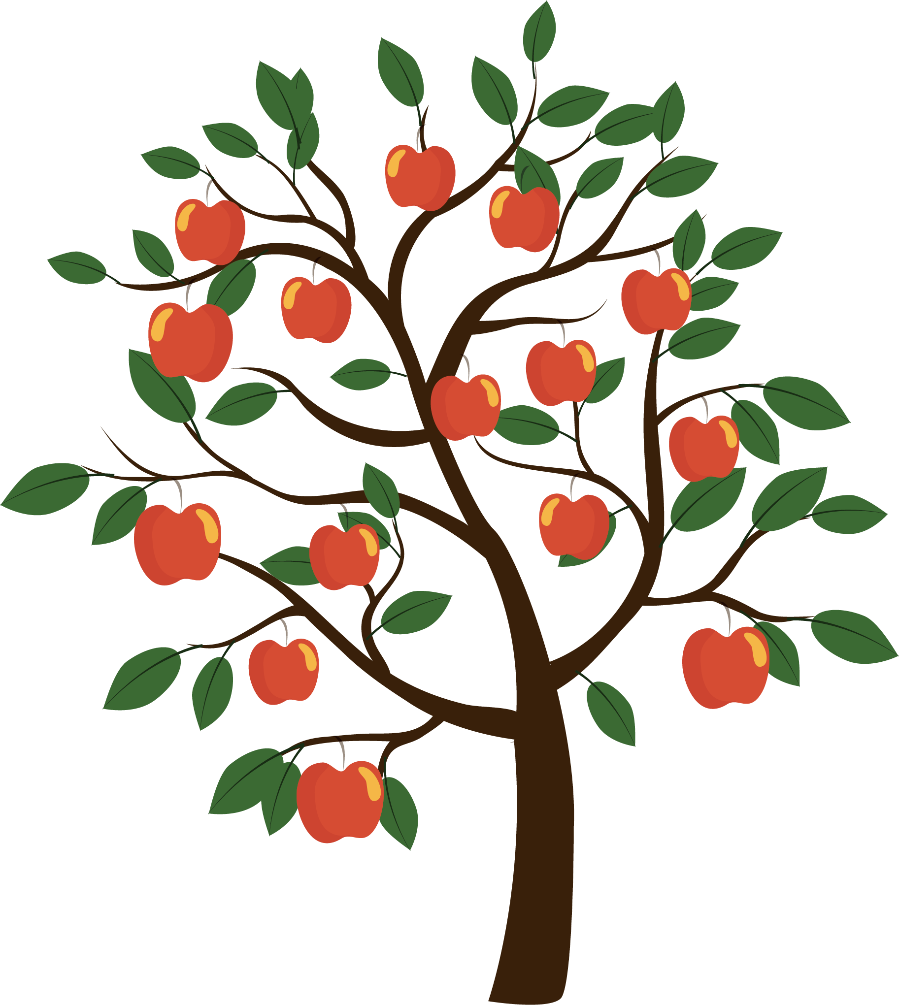 Fruit Tree Euclidean Vector Transparent PNG | Pngstation