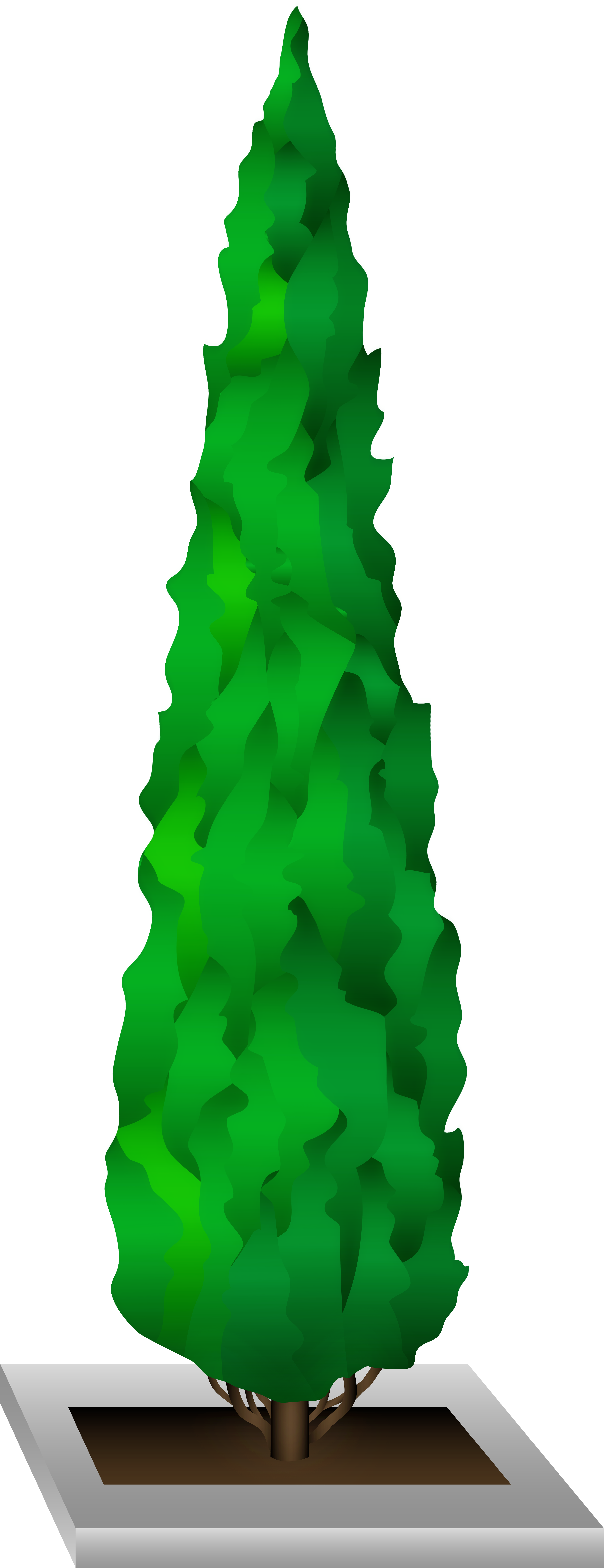 Green Decorative Tree Png Transparent PNG | Pngstation