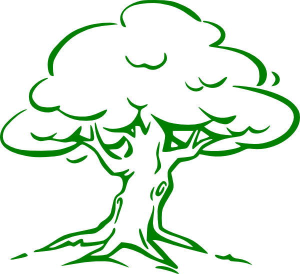Green Oak Tree Transparent PNG | Pngstation