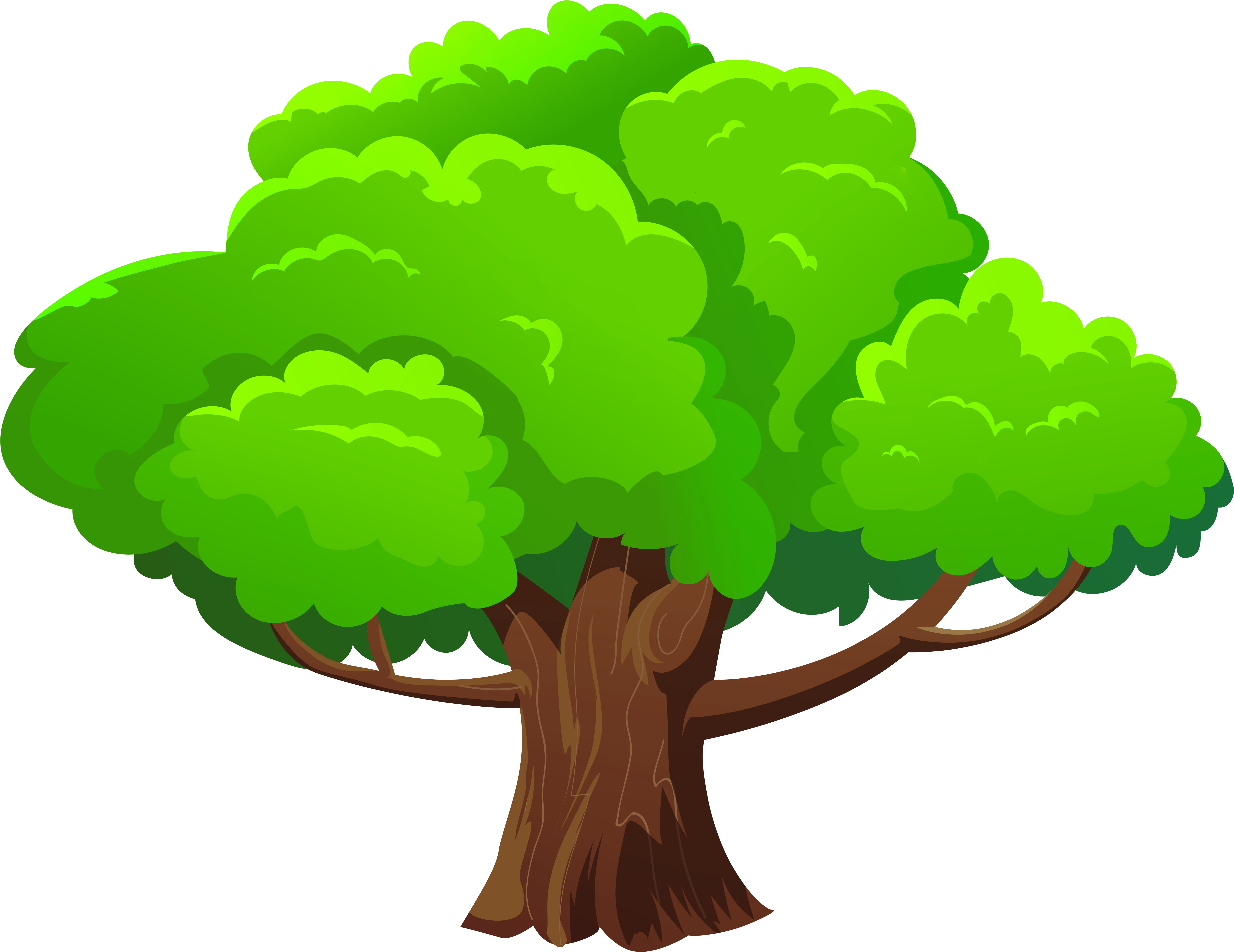 Green Tree Png  Transparent Png.png Transparent PNG | Pngstation