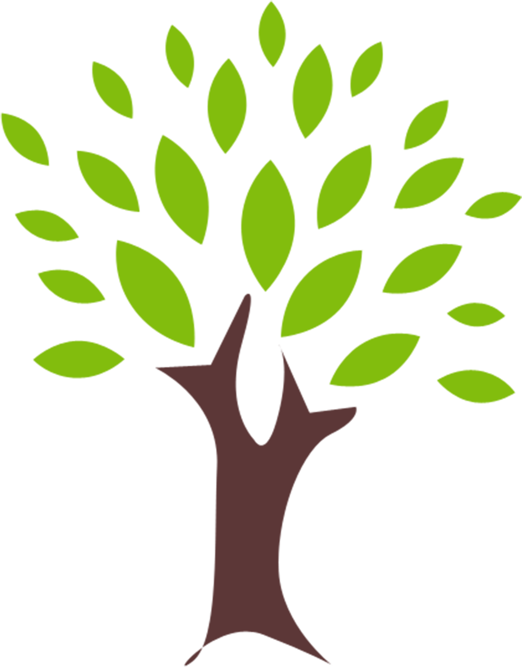 Half Bare Tree   Royalty Free Library Transparent PNG | Pngstation