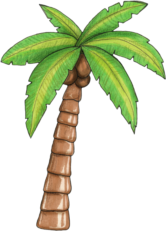 Hawaiian Palm Tree  Svg Library Library Como Transparent PNG | Pngstation