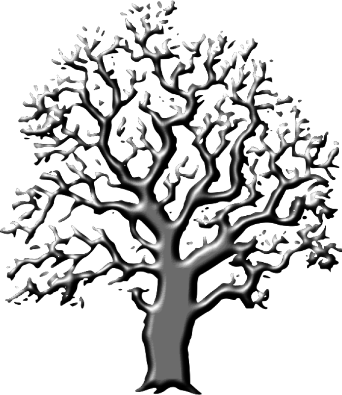Oak Tree Png s Transparent PNG | Pngstation