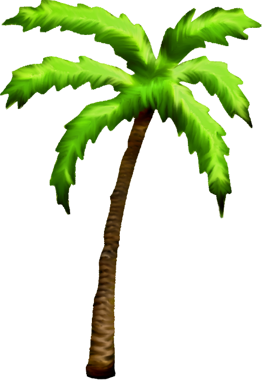 Palm Tree  Tropical Palm Trees  Go Back Transparent PNG | Pngstation