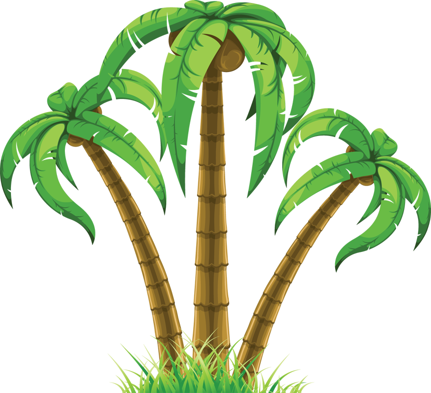 Palm Tree Transparent PNG | Pngstation