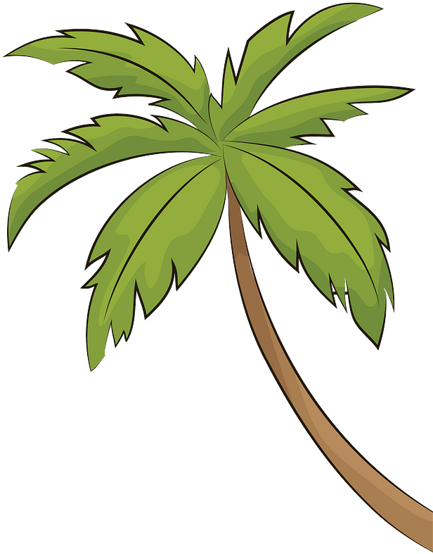 Palm Tree High Quality PNG | Pngstation