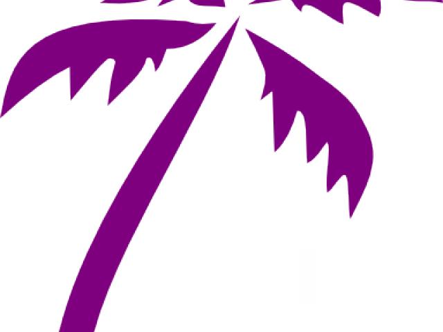 Palm Tree  Curved Transparent PNG | Pngstation