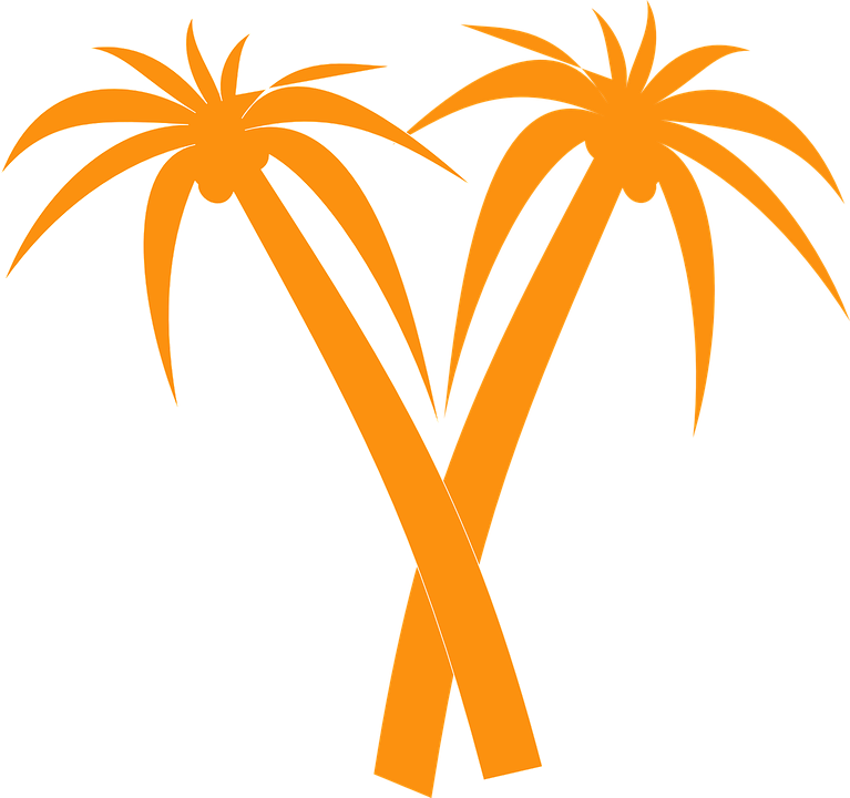 Palm Trees Orange Tropical Palm Silhouette Crossed Transparent PNG | Pngstation