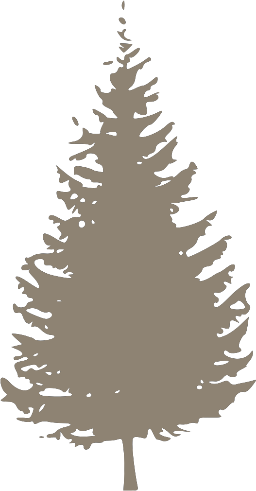 Pine Tree Vector Png .png Transparent PNG | Pngstation