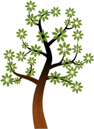 Plant,flower,leaf Transparent PNG | Pngstation