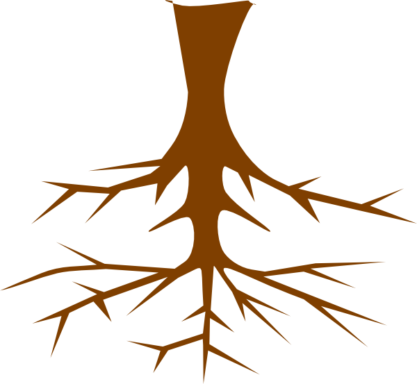 Roots Transparent PNG | Pngstation