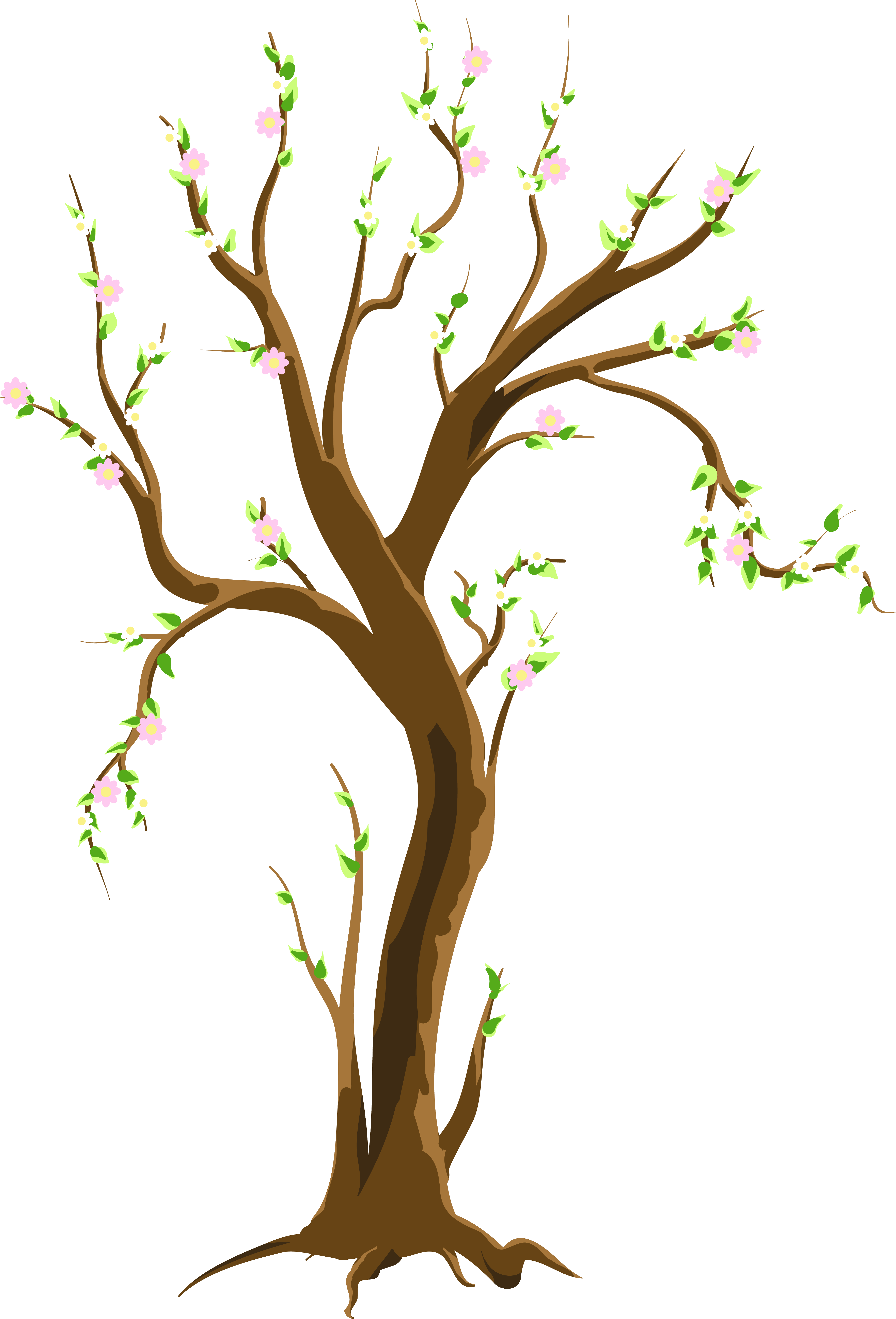 Spring Tree Png  Picture , Png Download Transparent PNG | Pngstation