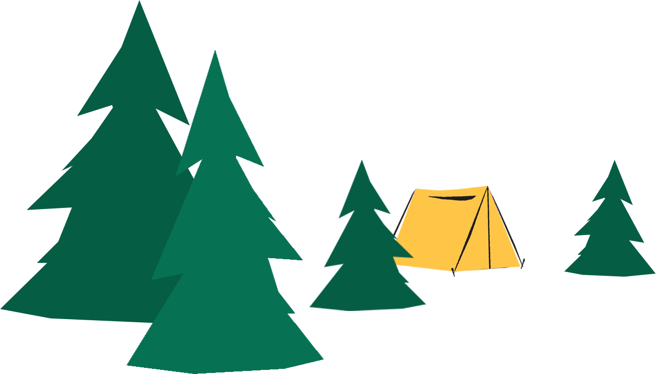 Transparent Christmas Trees  Free Transparent PNG | Pngstation