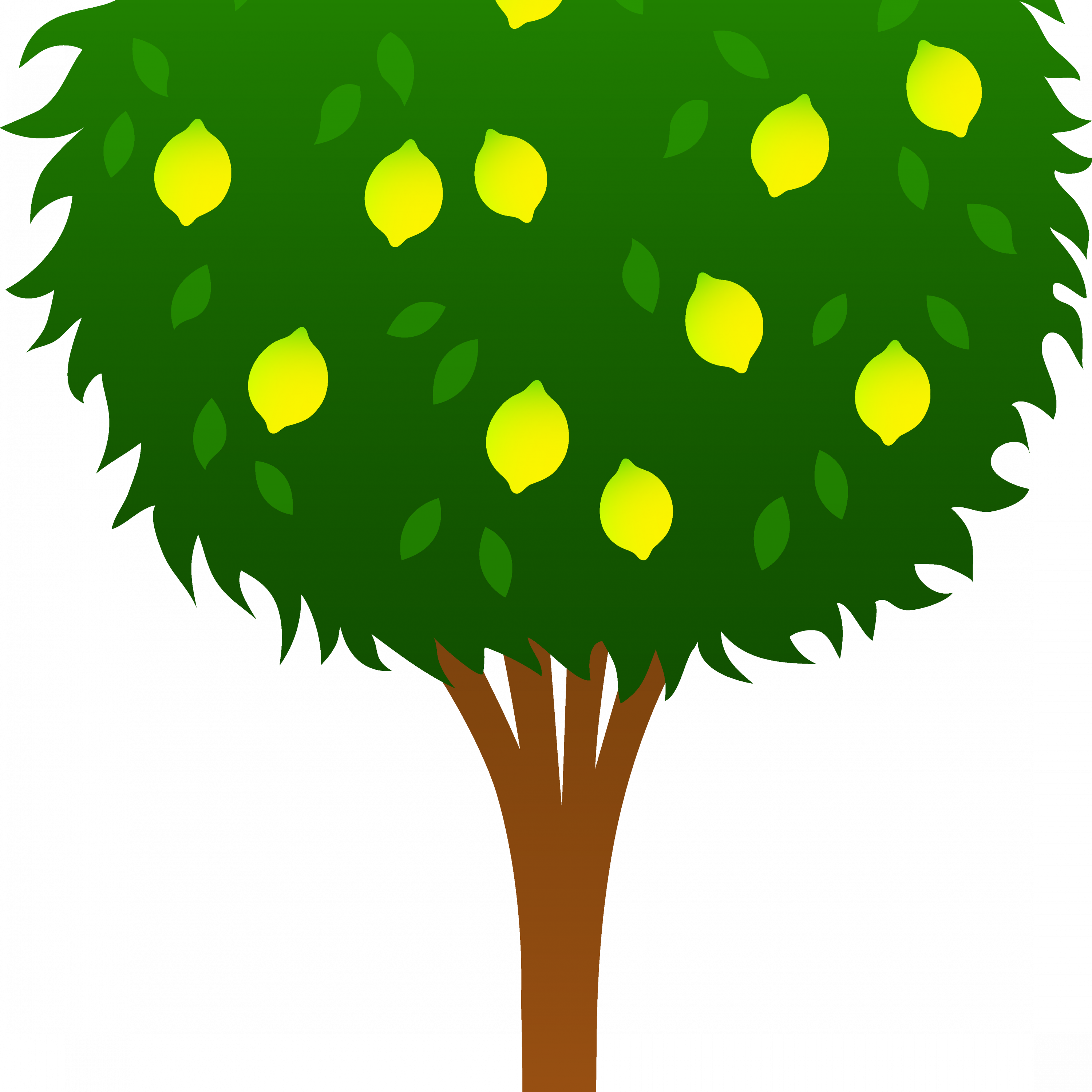 Transparent Lemon  Png Transparent PNG | Pngstation