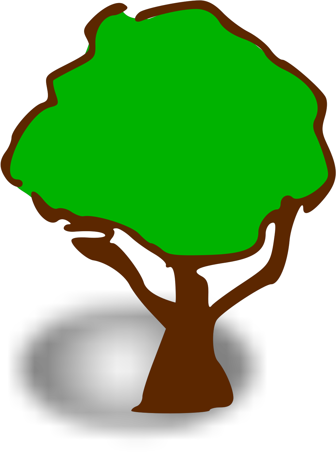 Transparent Tree Background Coon .png Transparent PNG | Pngstation