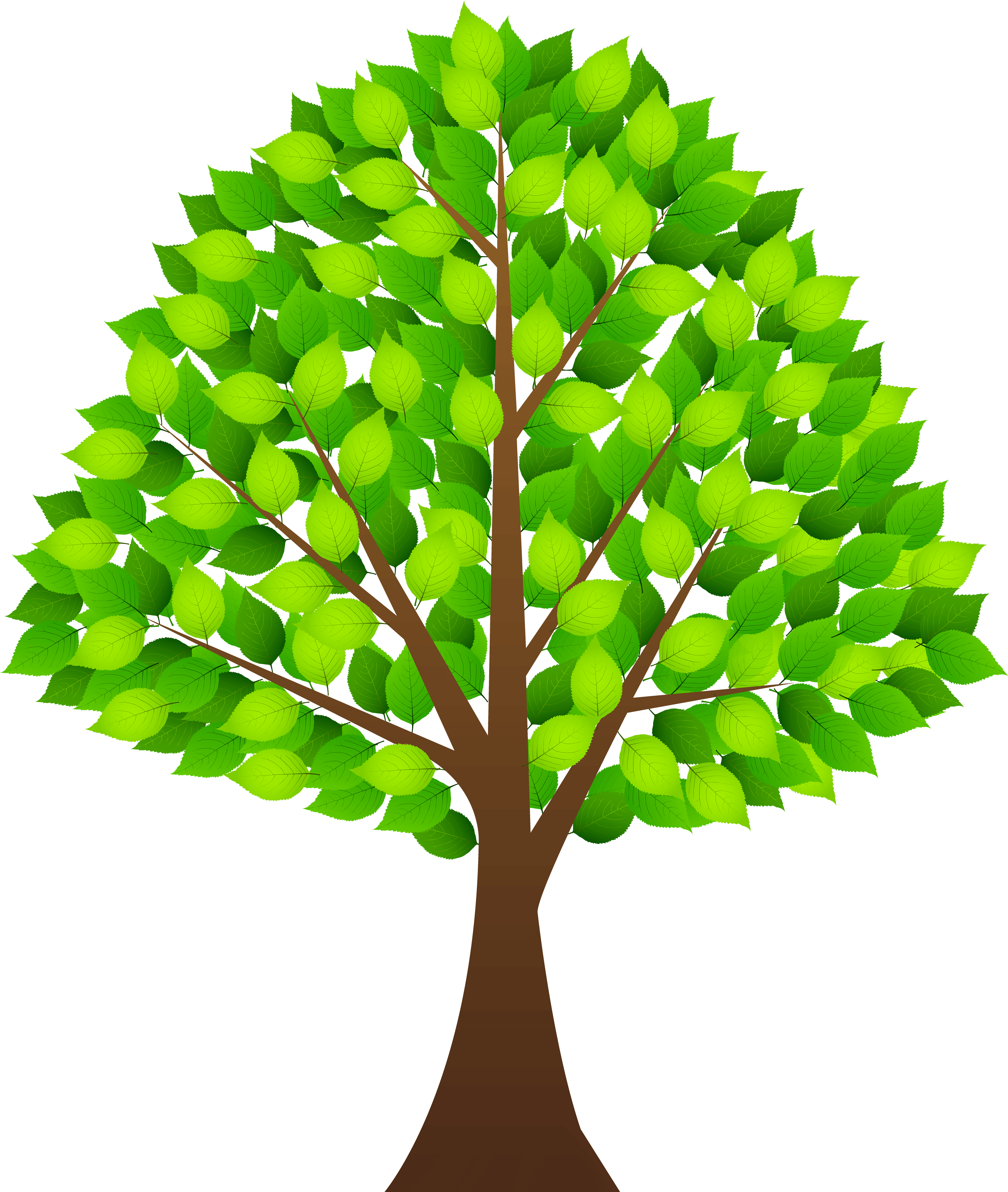 Transparent Tree s Transparent PNG | Pngstation