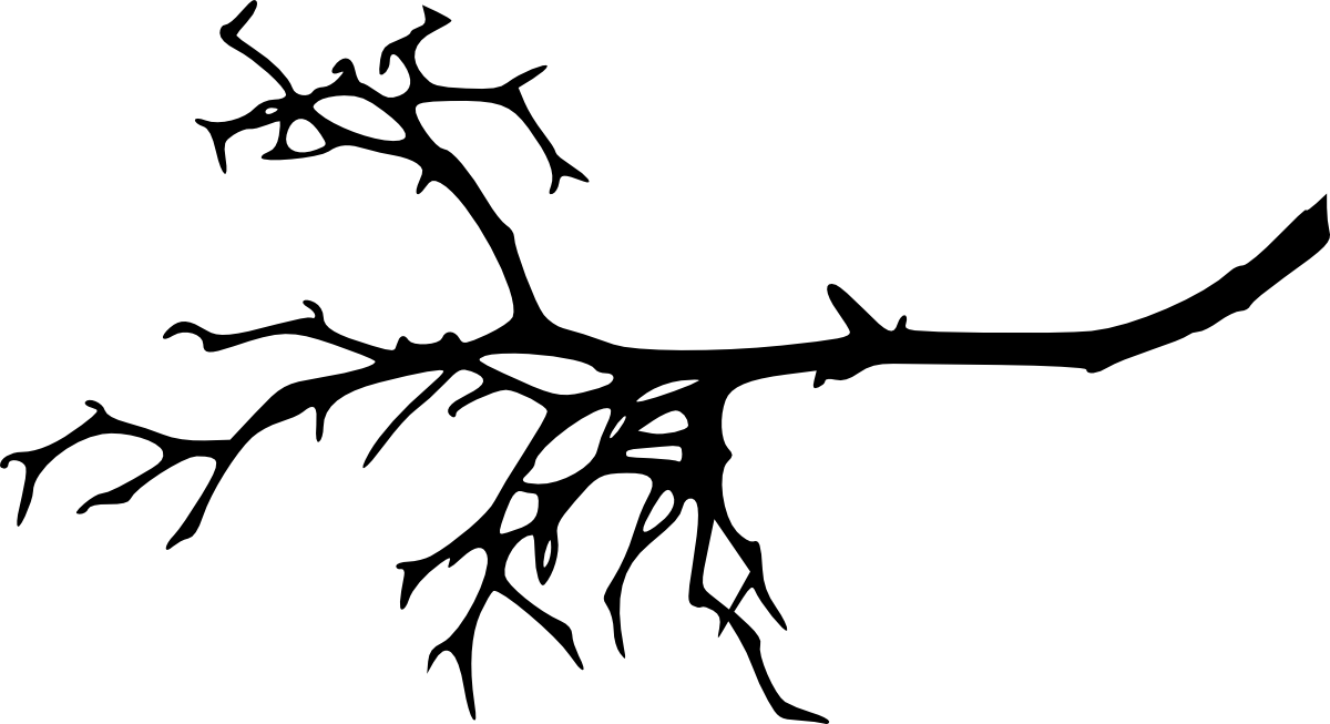 Transparent Tree Silhouette Transparent PNG | Pngstation