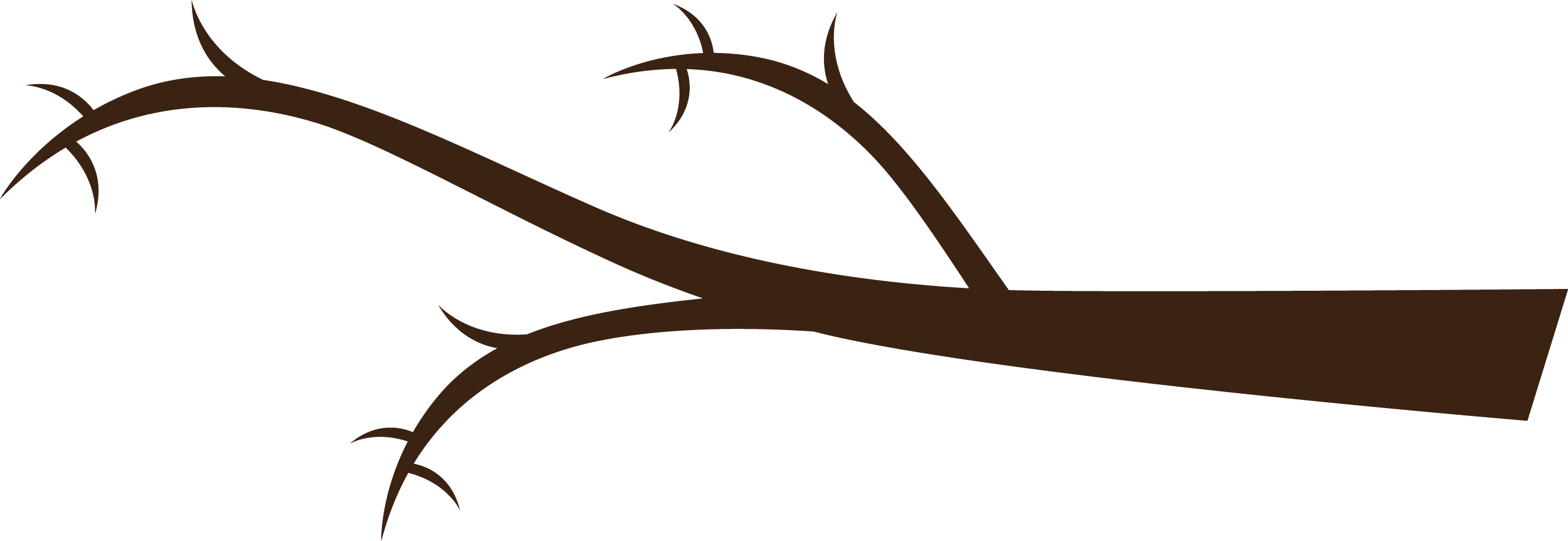 Tree Branch High Quality PNG | Pngstation