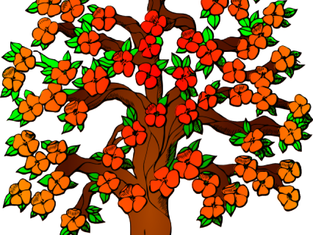 Tree Transparent PNG | Pngstation