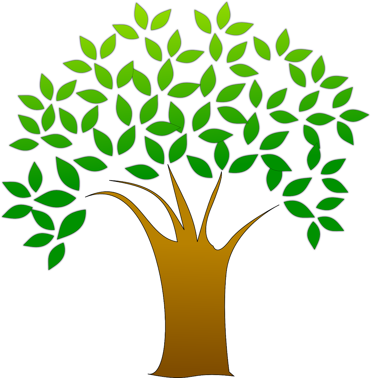 Tree  Transparent Background Transparent PNG | Pngstation
