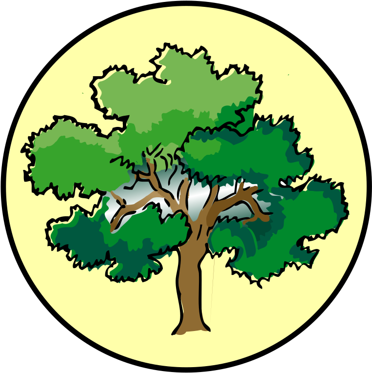 Tree Drawing With Color .png Transparent PNG | Pngstation