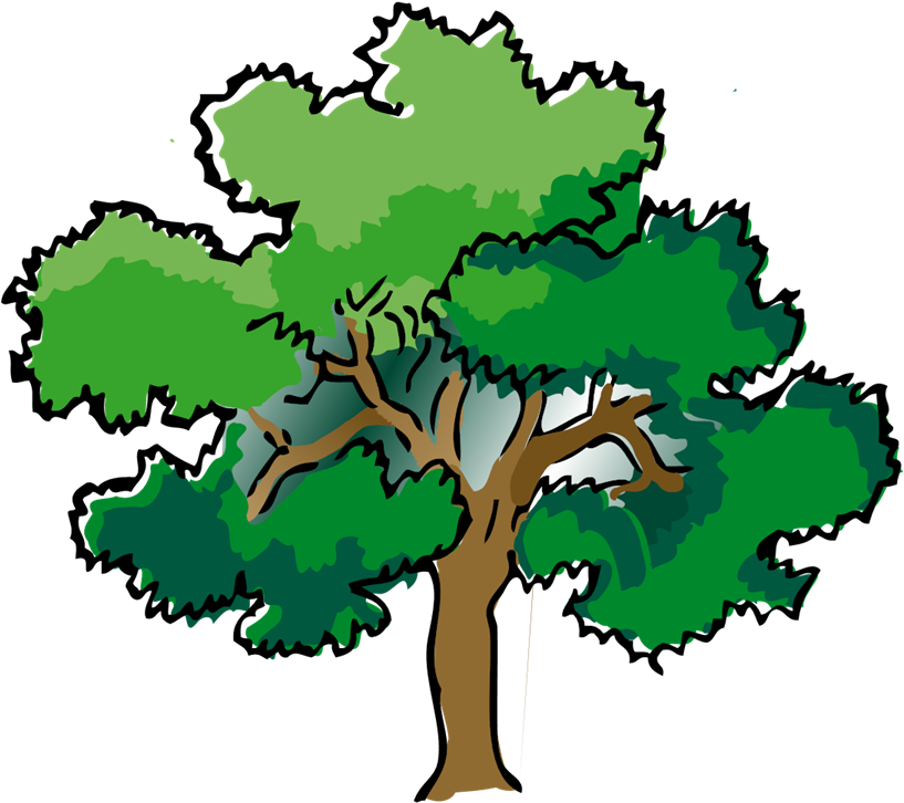 Tree Drawing With Color png.png Transparent PNG | Pngstation