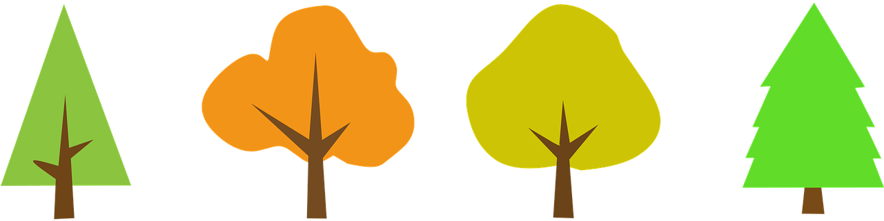 Tree Wood  Free Photo Transparent PNG | Pngstation