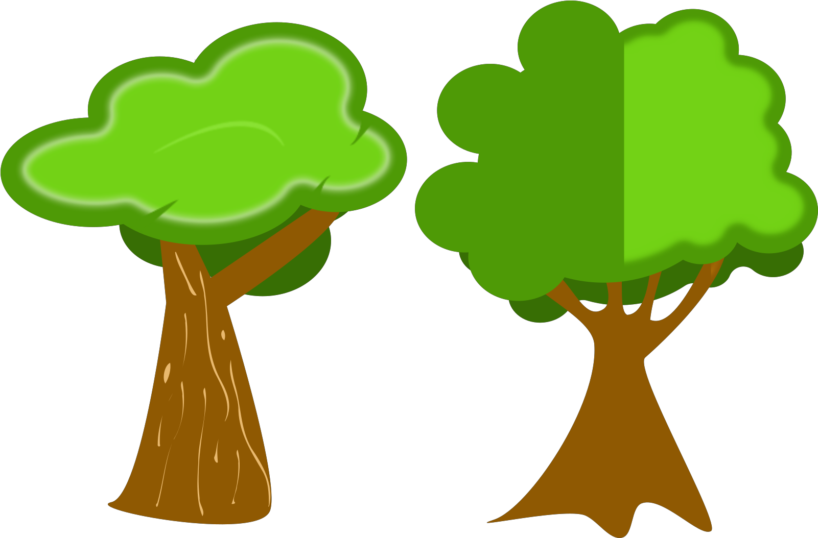 Trees And Flowers Coon .png Transparent PNG | Pngstation
