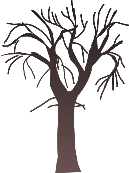 Trunk  Barren Tree Transparent PNG | Pngstation